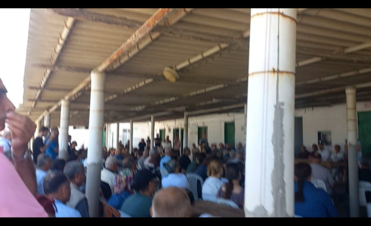 ÜÇ MAYMUN OYUNUNDA BİR BELEDİYECİLİK ÖRNEĞİ SAMANDAĞ