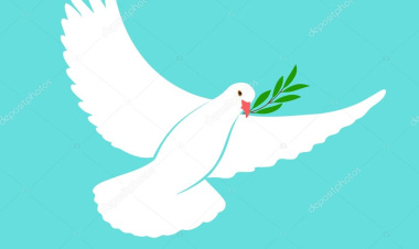 BAYRAK İNDİRME HAKLI VE MEŞRU MÜCEDELE HATTI DIŞINDADIR, SAPMADIR.